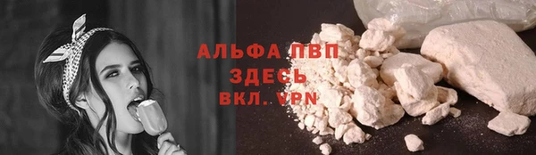 молекула духа Арсеньев