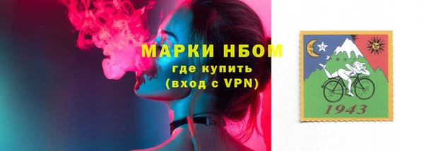 молекула духа Арсеньев