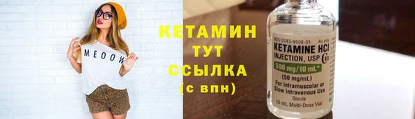 молекула духа Арсеньев