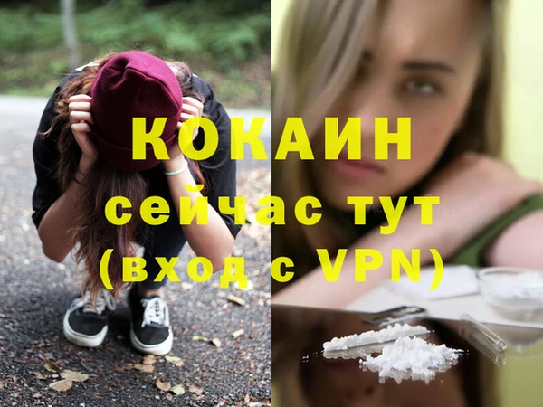 молекула духа Арсеньев