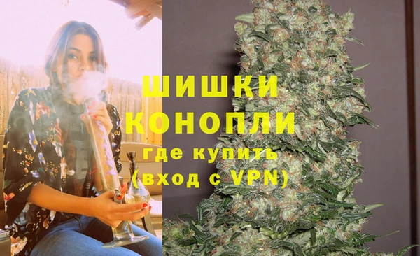 молекула духа Арсеньев