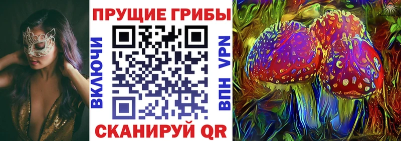 Псилоцибиновые грибы GOLDEN TEACHER  Приморско-Ахтарск 